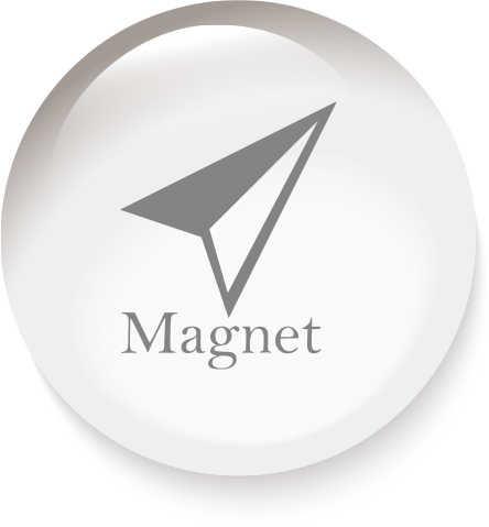 Magnet